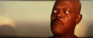 p1033348_1.gif