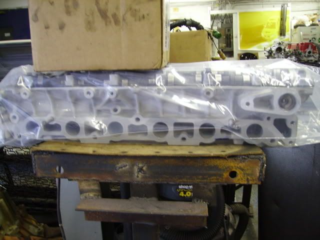 p1035086_1.jpg