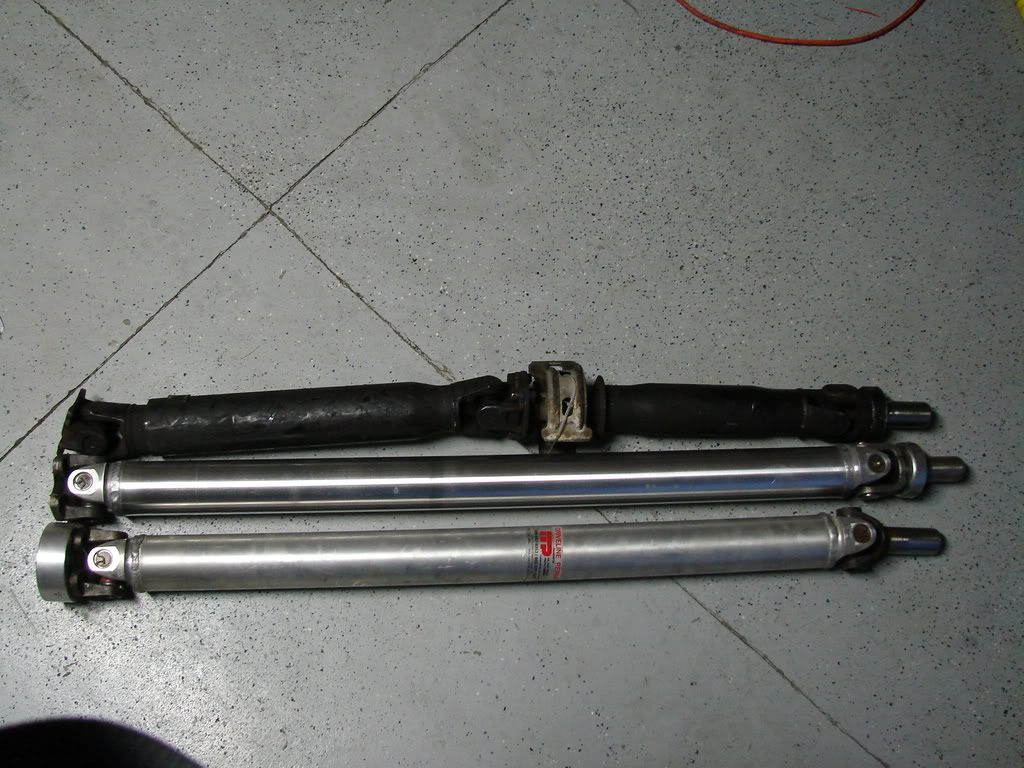 p1037950_4.jpg