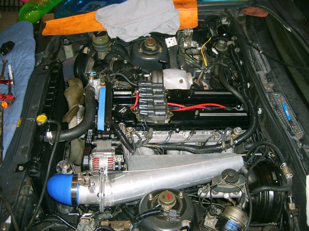 p1053159_16.jpg