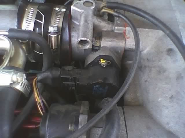 p1093129_3.jpg