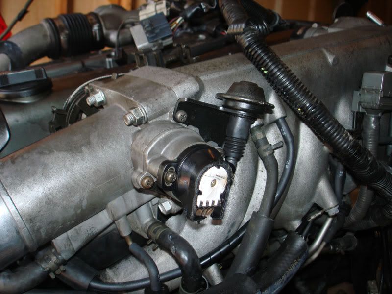 p1109843_3.jpg