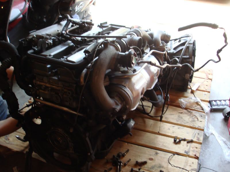 p1109843_4.jpg