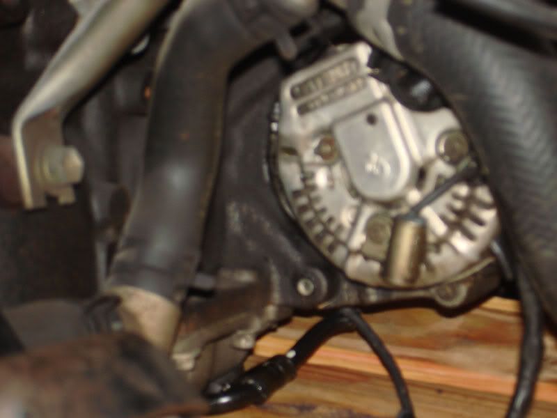 p1109843_7.jpg