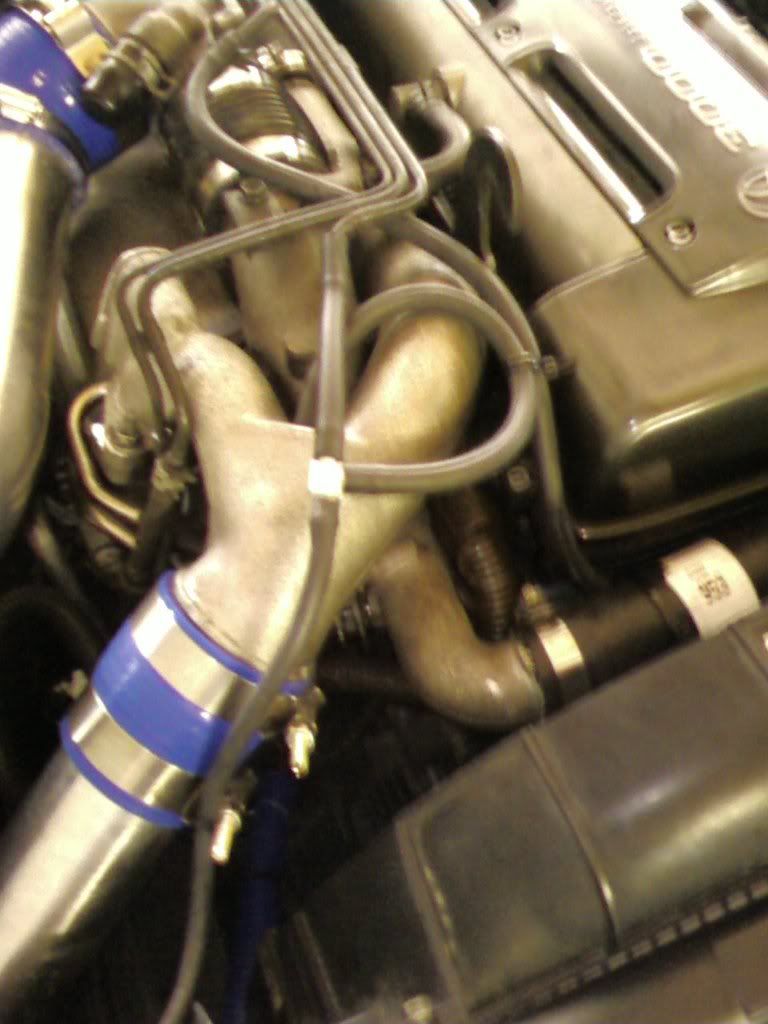 p1110649_1.jpg