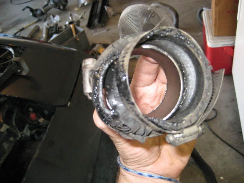 p1111670_1.jpg