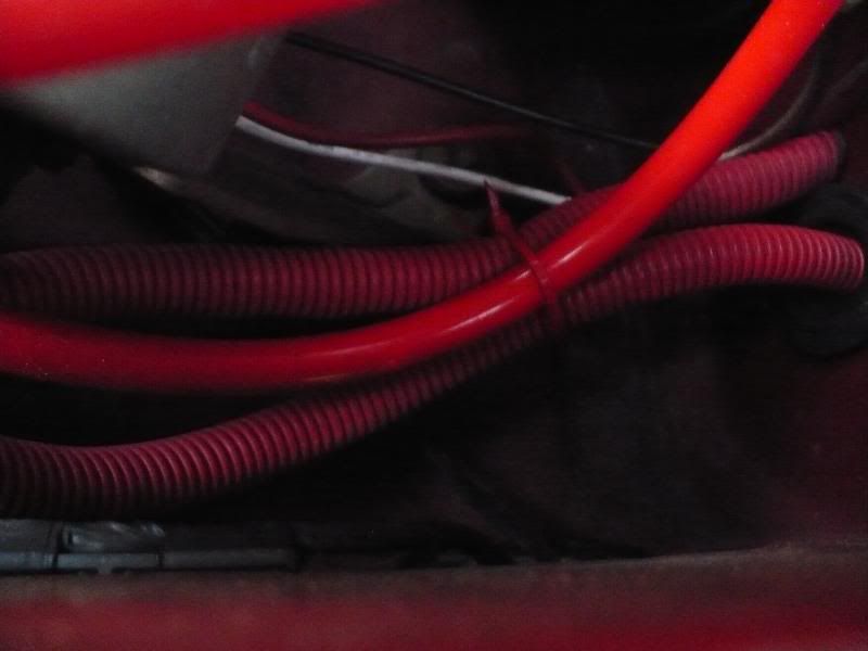 p1124250_7.jpg