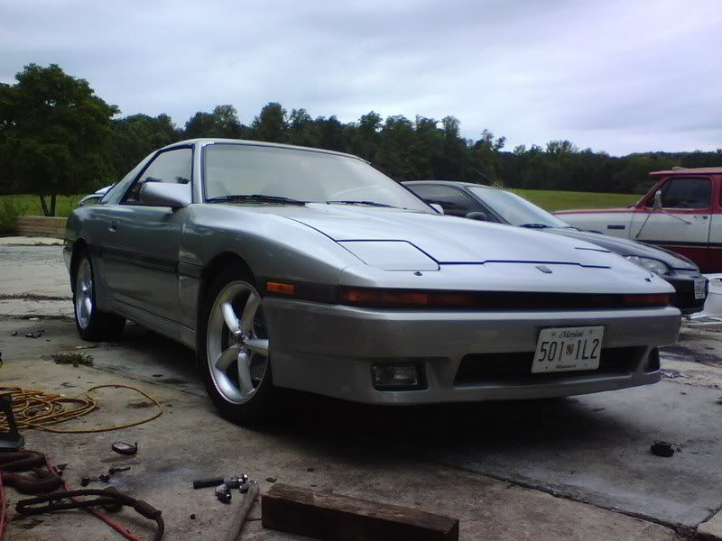p1129951_3.jpg