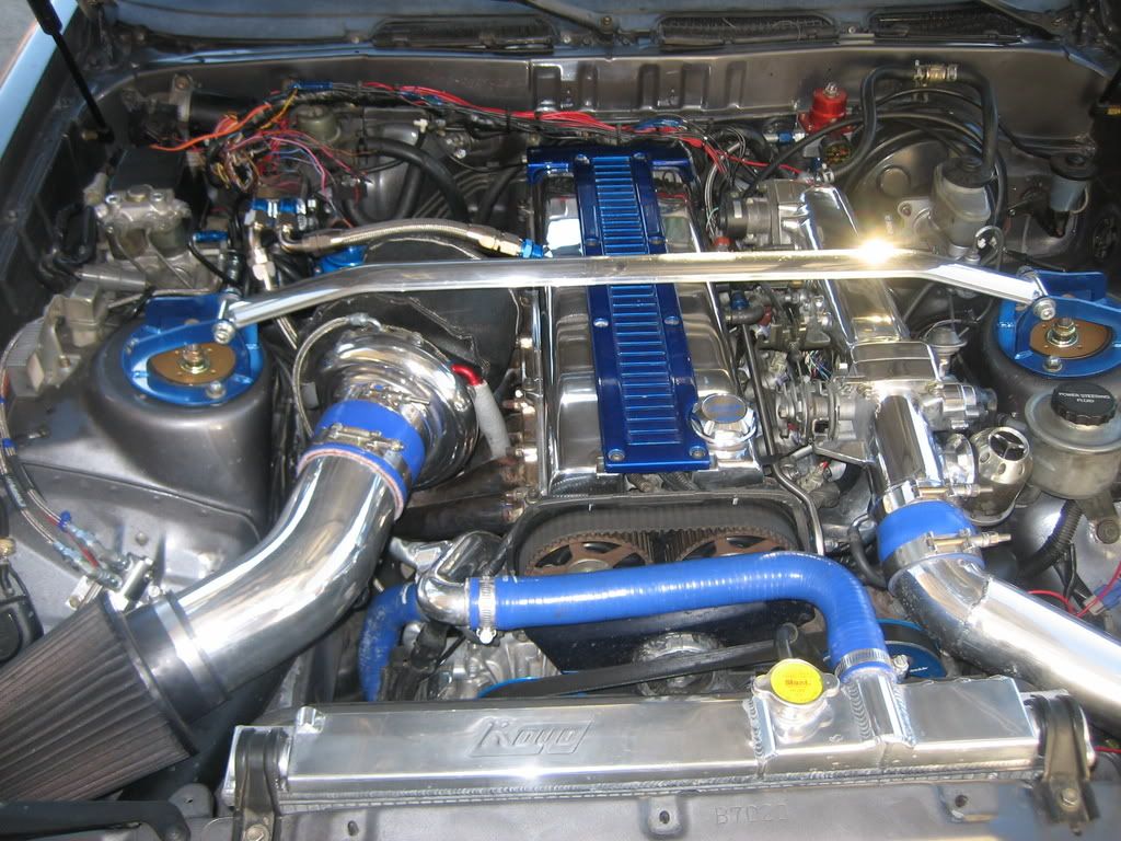 p1133706_1.jpg