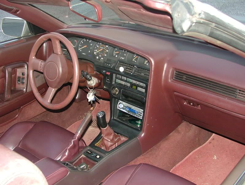 p1137762_8.jpg
