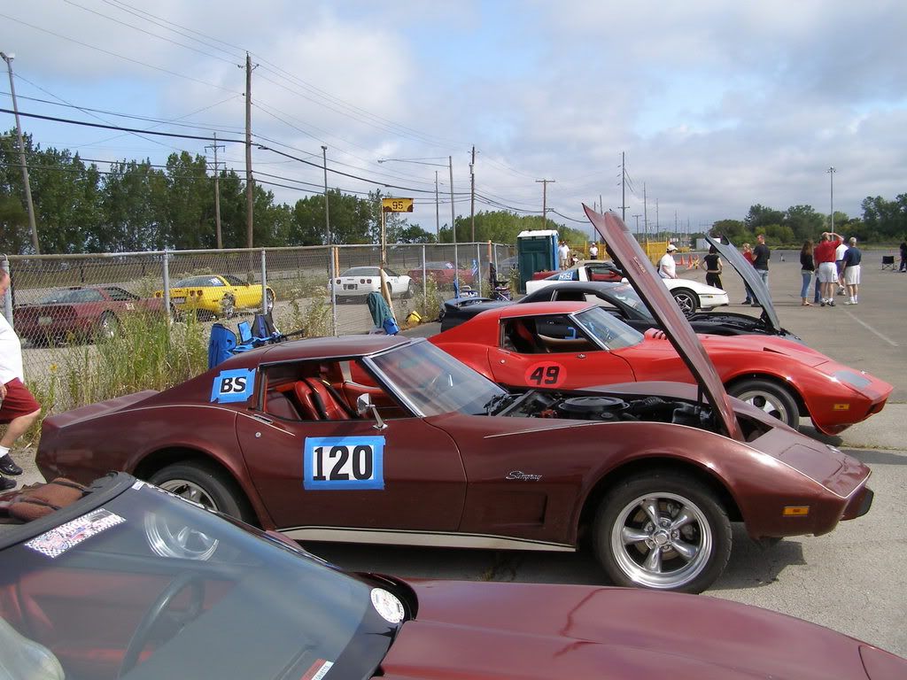 p1143132_1.jpg