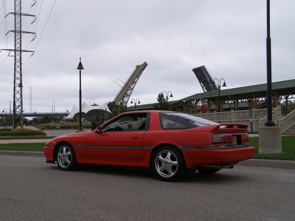 p1143134_8.jpg