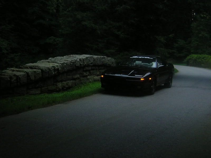 p1146325_2.jpg