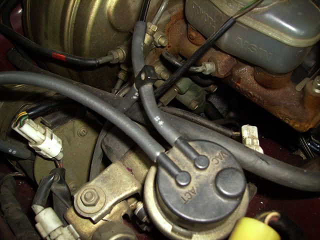 p1146631_2.jpg