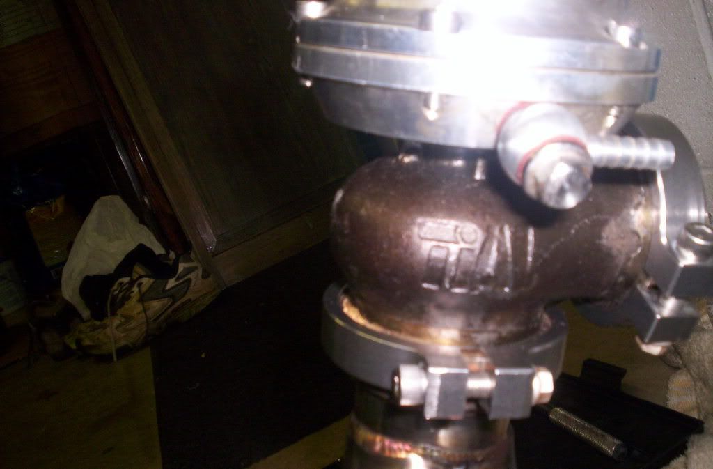 p1155112_4.jpg