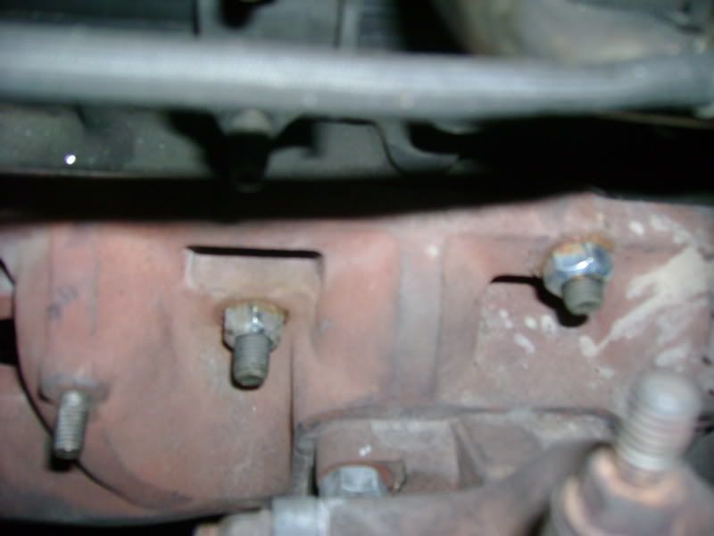p1155615_3.jpg