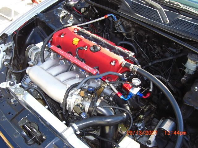 p1158046_1.jpg