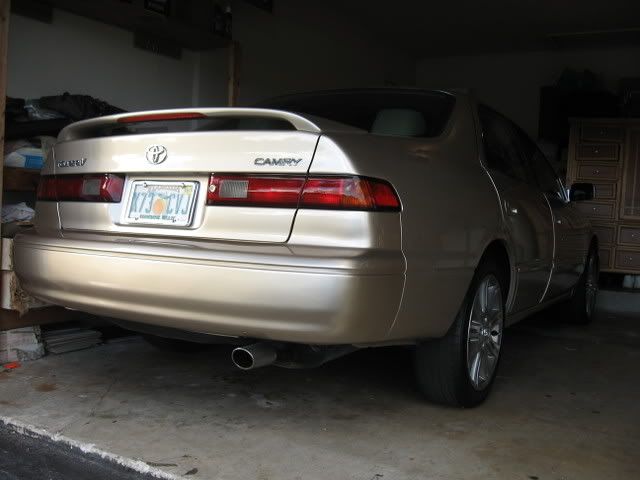 p1165526_1.jpg