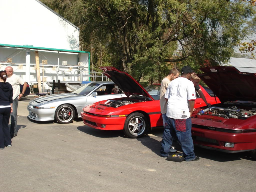p1169780_4.jpg