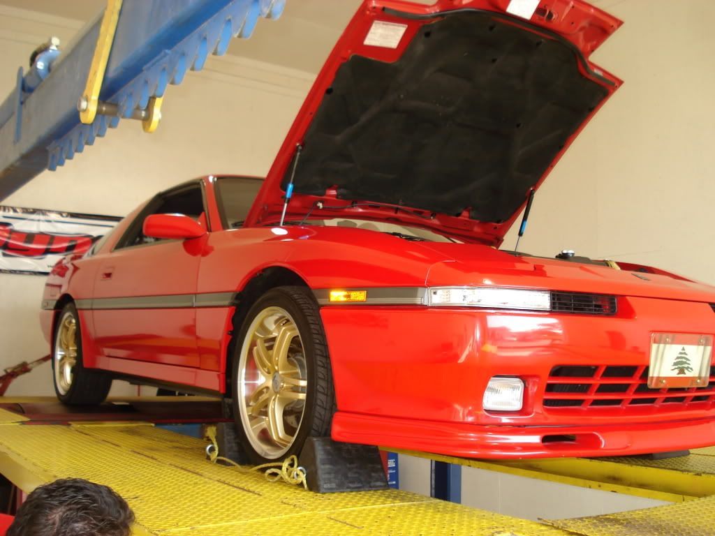 p1169791_3.jpg