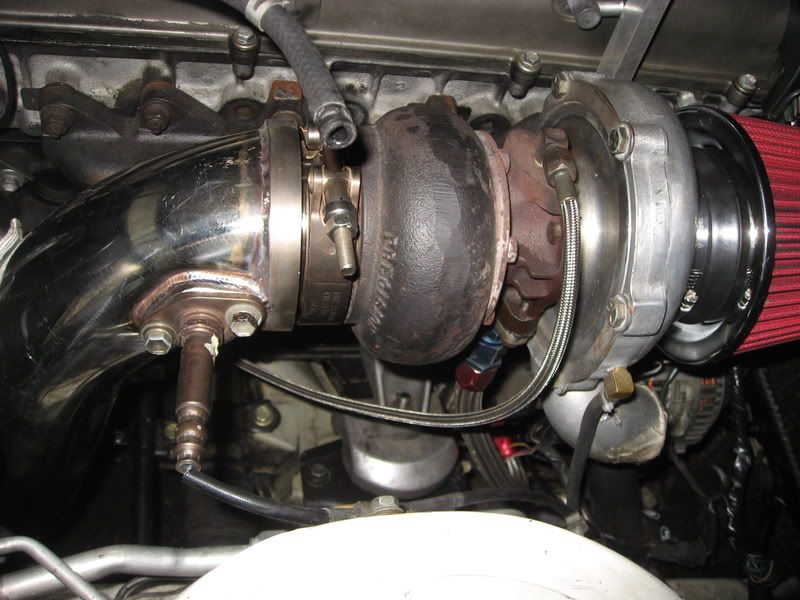 p1174889_3.jpg