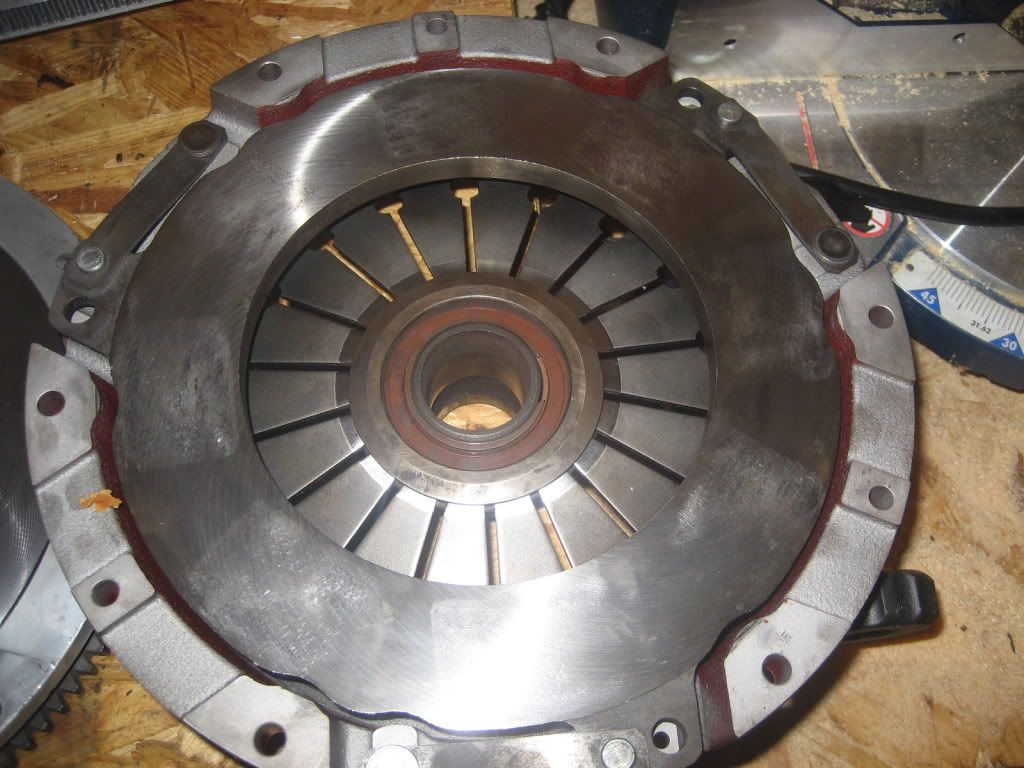 p1193830_5.jpg