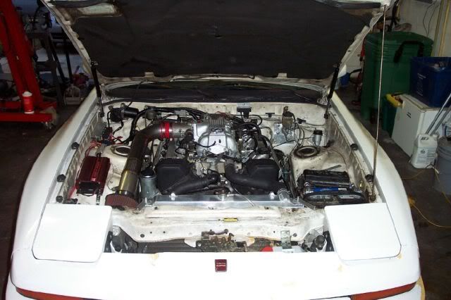 p1202182_5.jpg