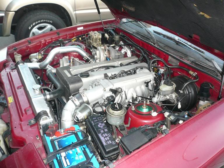 p1203787_13.jpg