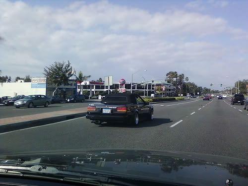 p1204502_1.jpg
