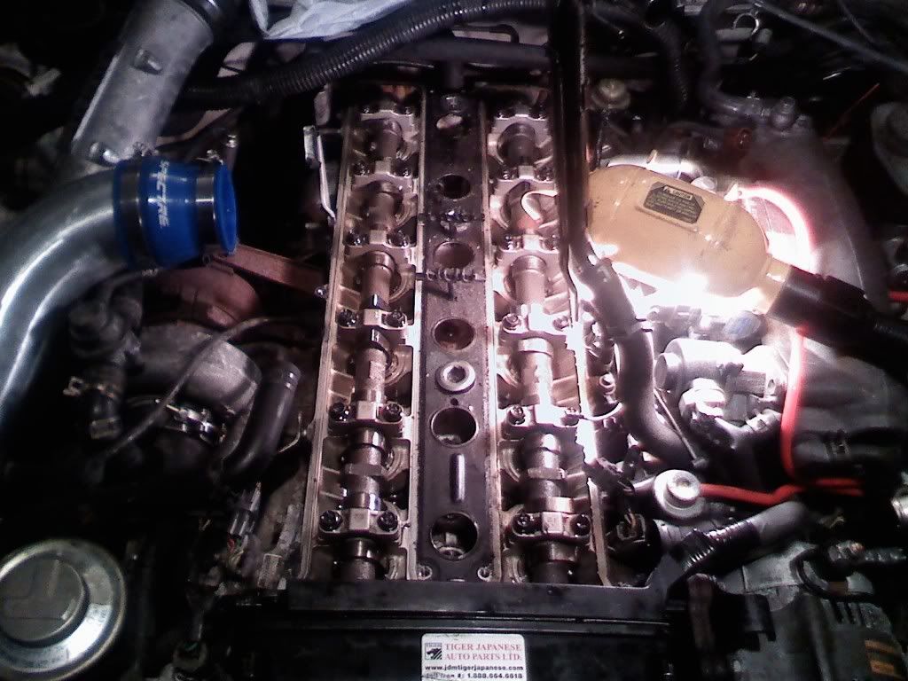 p1207248_1.jpg
