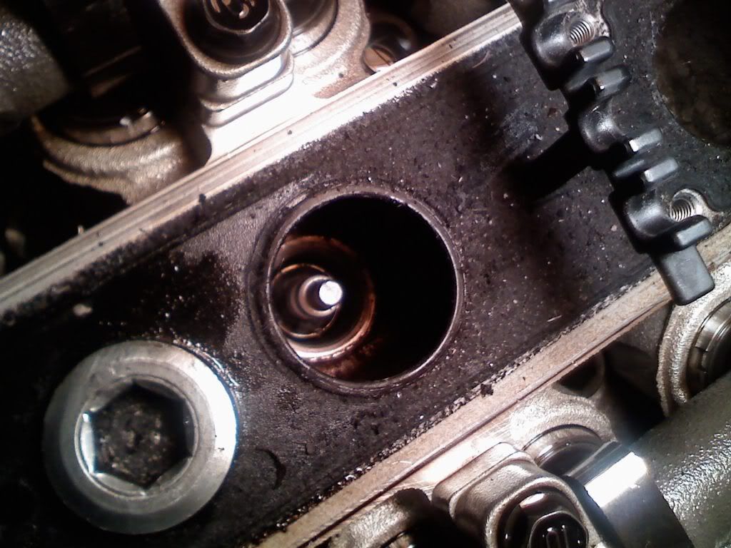 p1207248_2.jpg