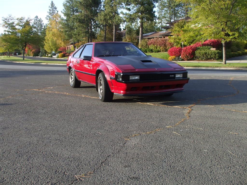 p1210619_1.jpg