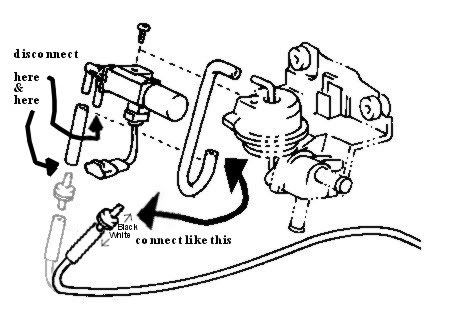 p1213559_1.jpg