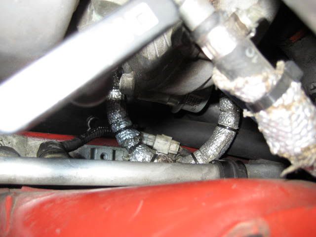 p1213631_1.jpg