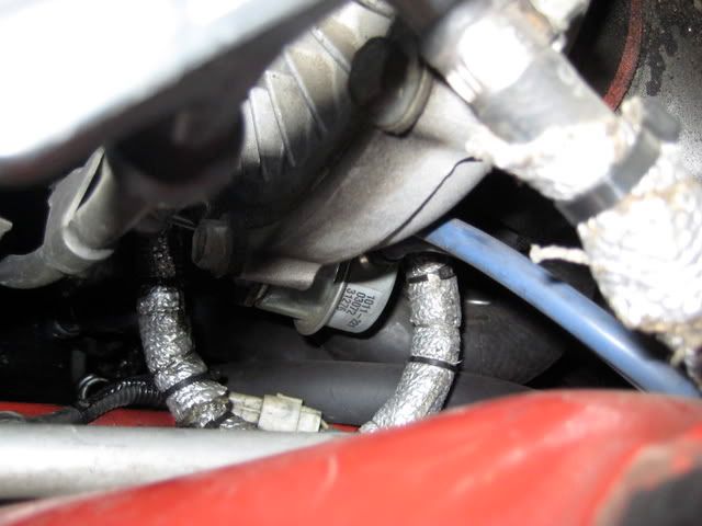 p1213631_2.jpg