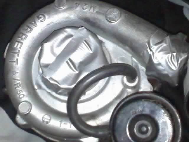 p1213659_1.jpg