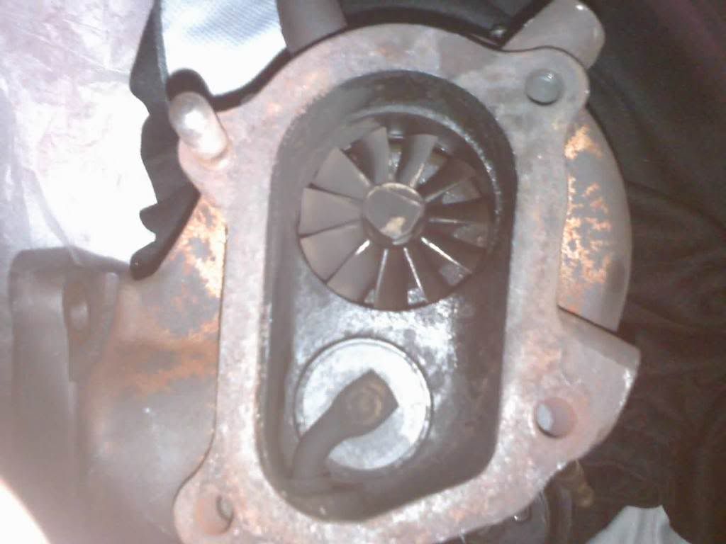 p1213659_4.jpg