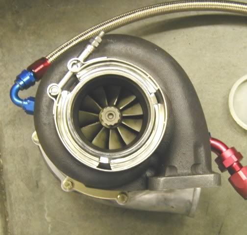 p121537_1.jpg