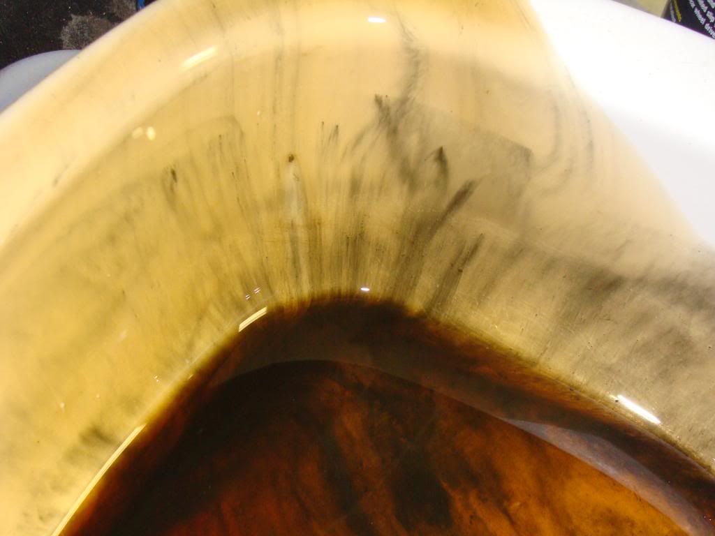 p1216972_6.jpg