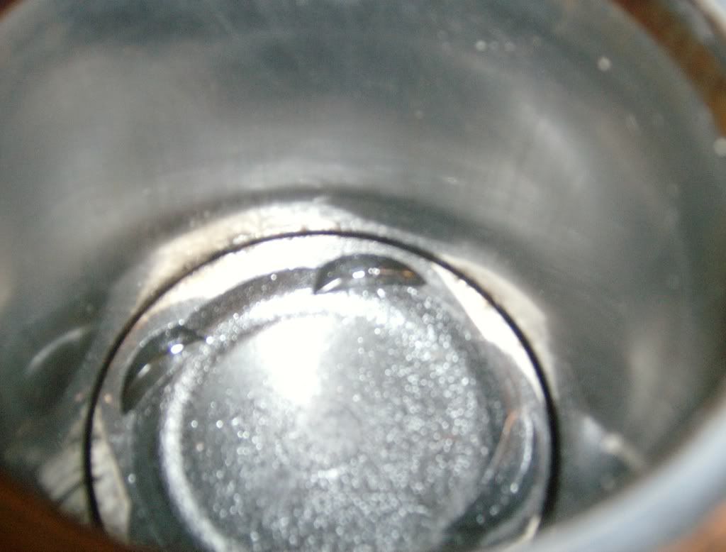 p1231796_3.jpg