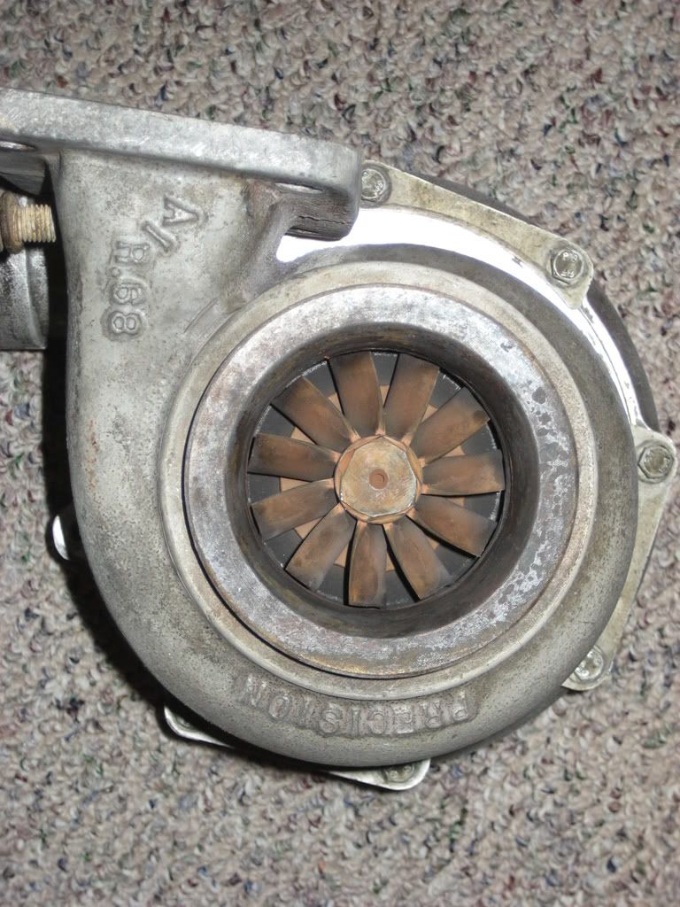 p1235609_3.jpg