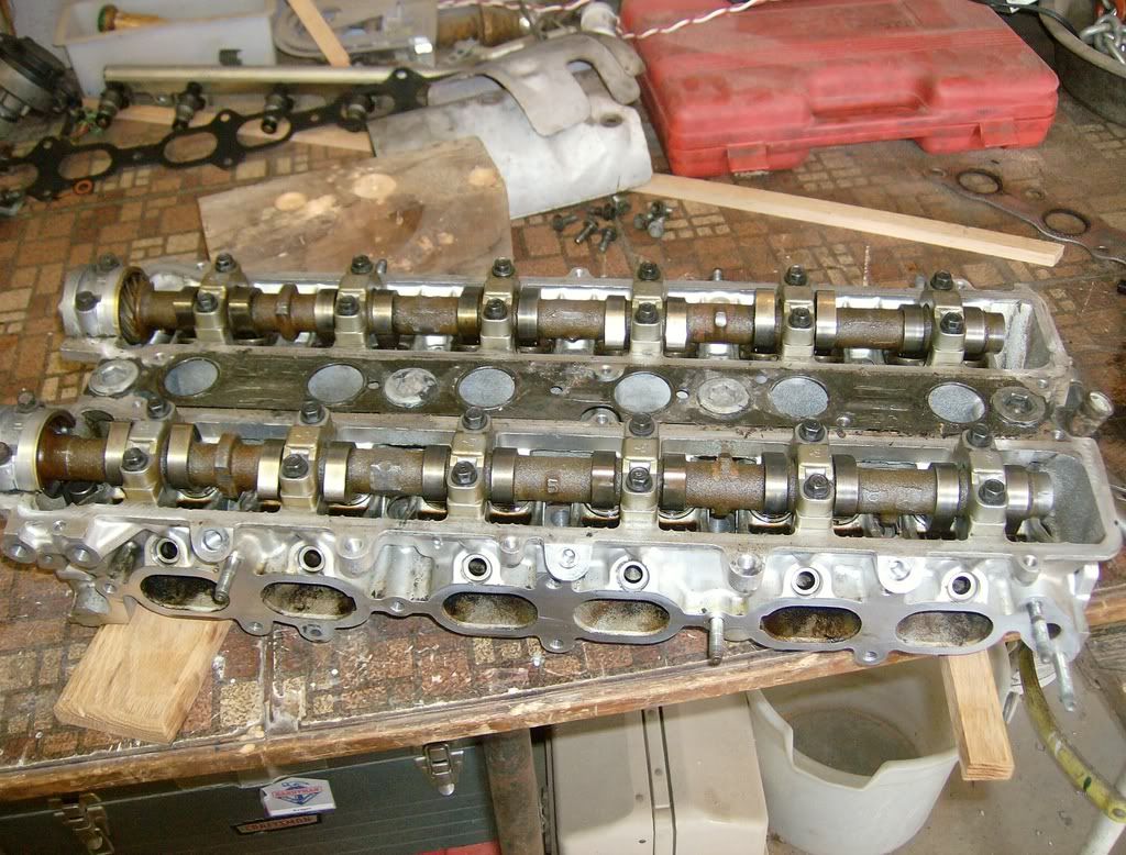 p1237929_6.jpg