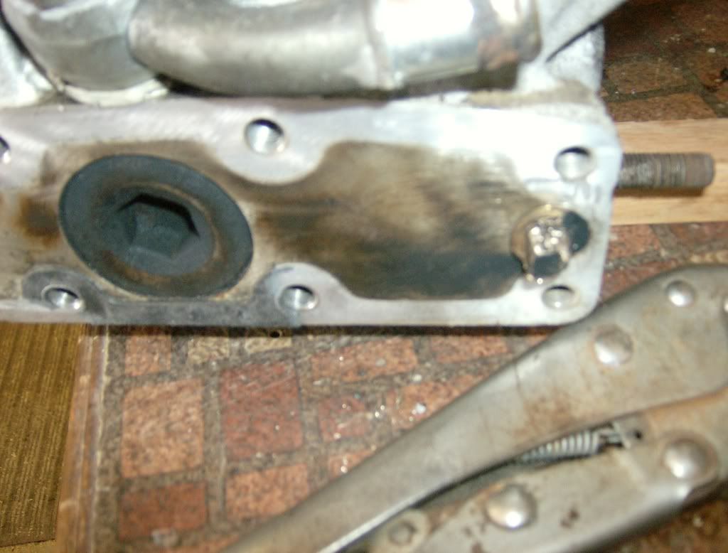 p1237929_7.jpg