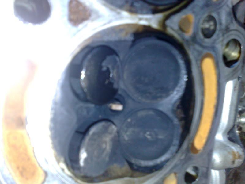 p1251407_2.jpg
