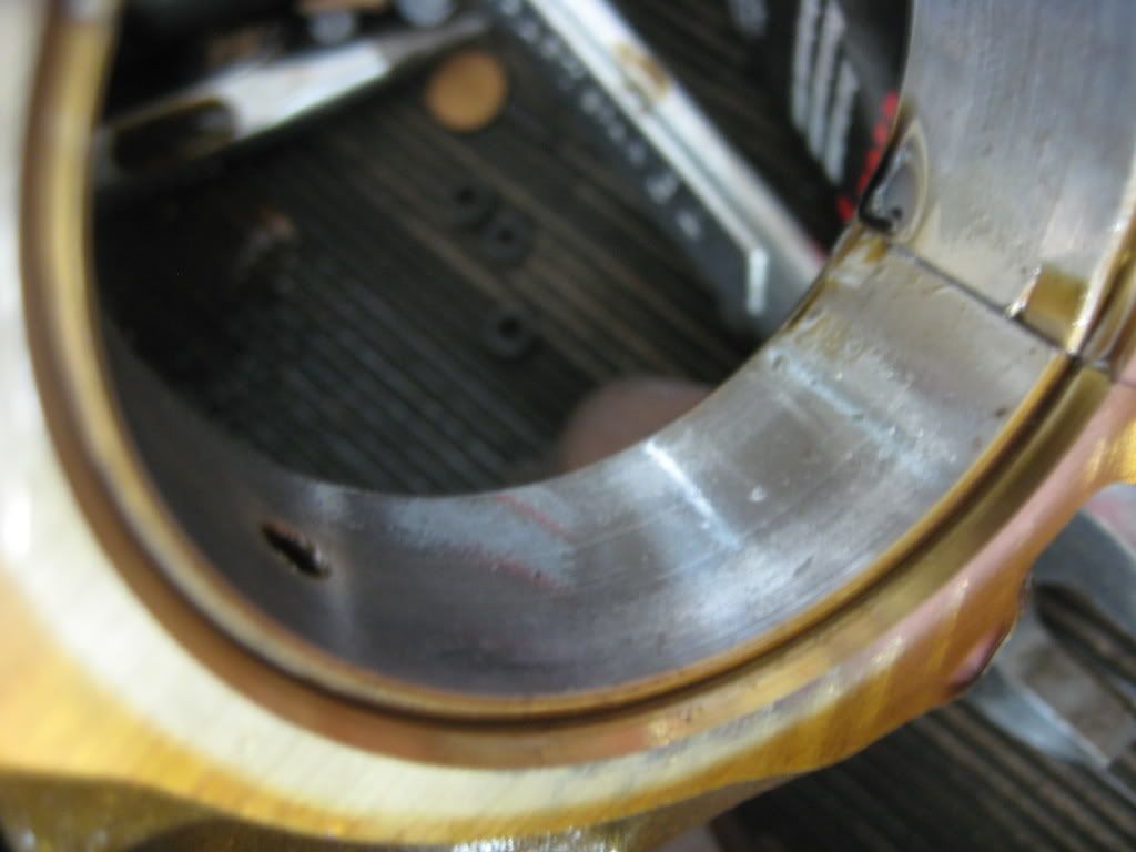 p1251517_2.jpg