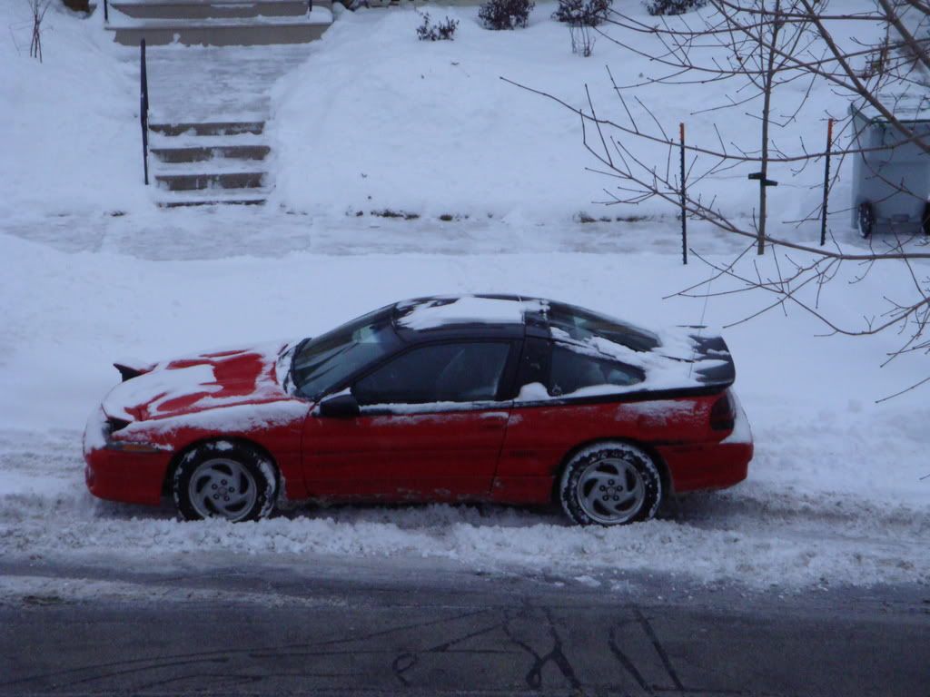 p1255452_1.jpg
