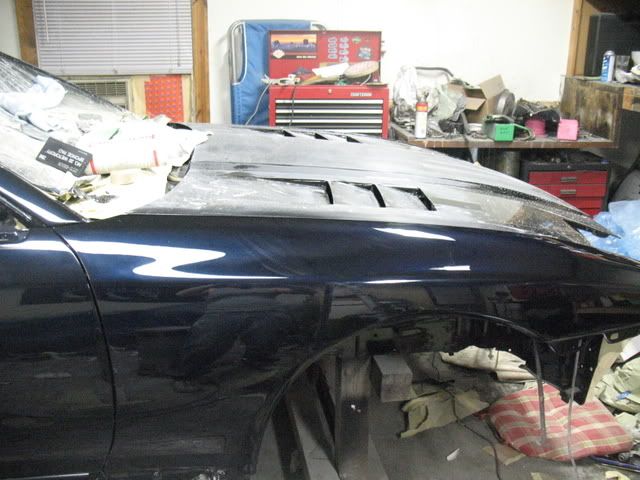 p1262221_2.jpg