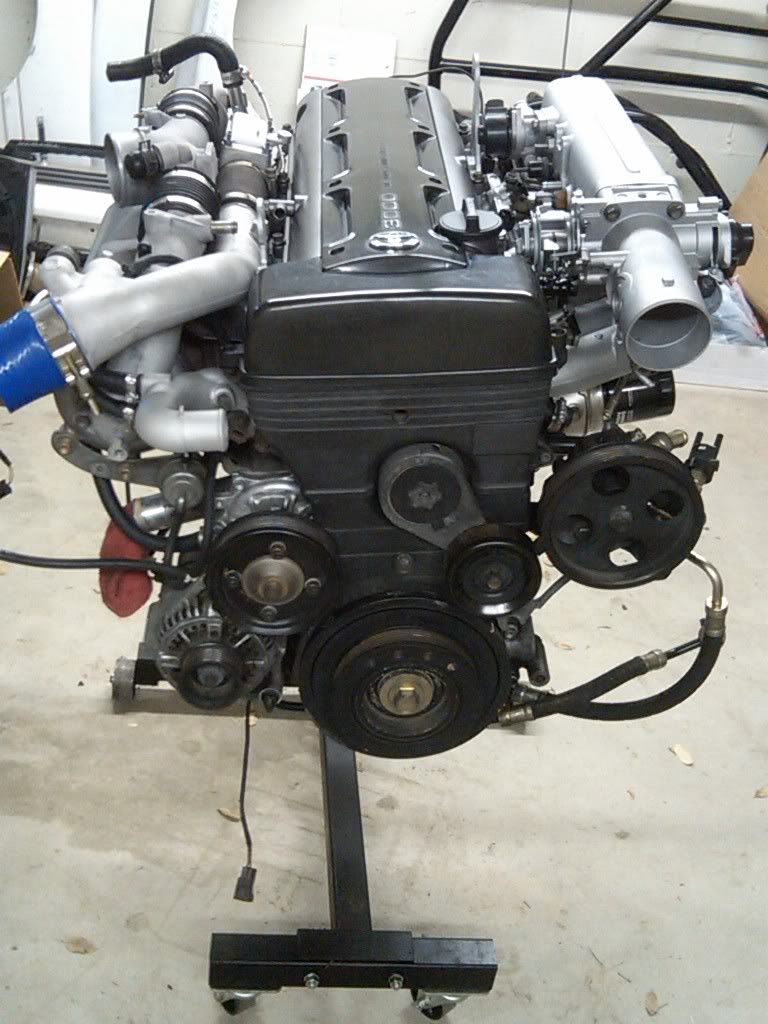 p1262497_3.jpg