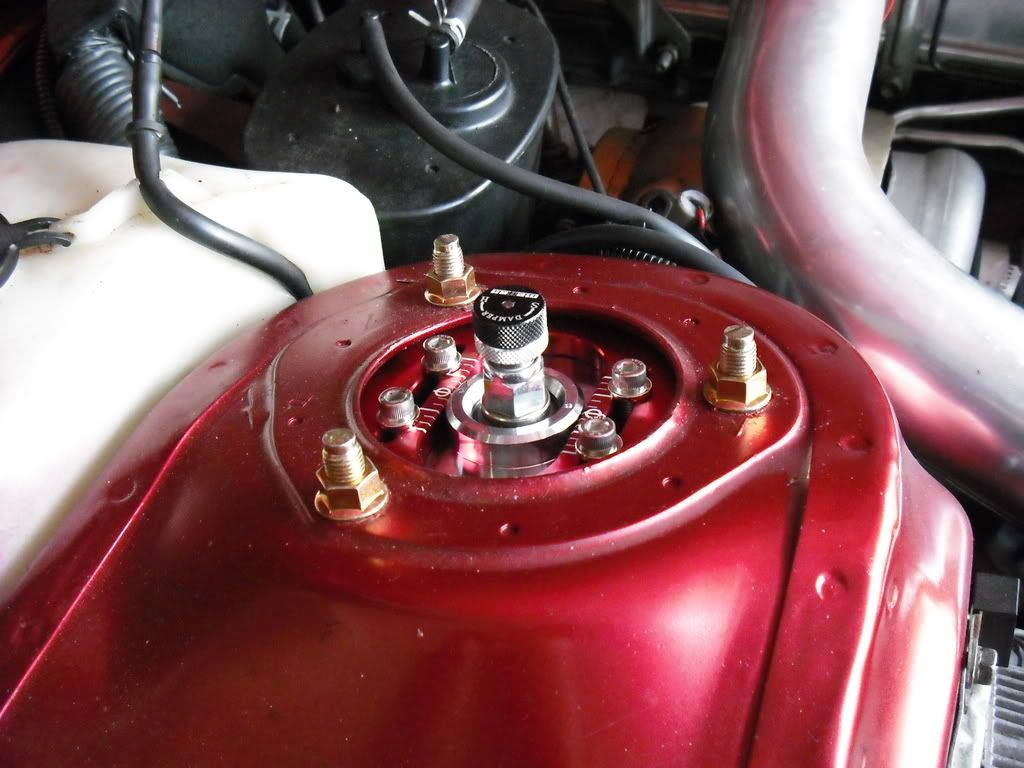 p1264181_3.jpg