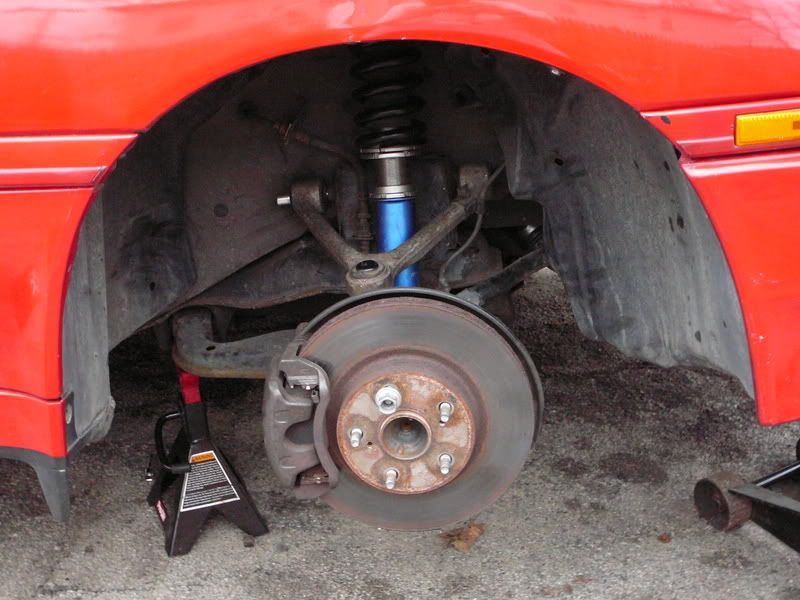 p1266273_4.jpg